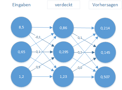 Trainiertes (gewichtetes) Netz mit Eingaben und Vorhersagen