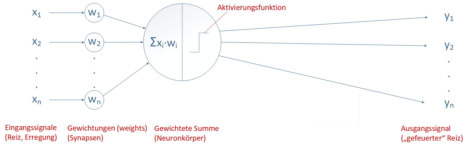 Neuron feuert erst, wenn die gewichtete Summe der Eingaben ein gewisses Maß überschreitet