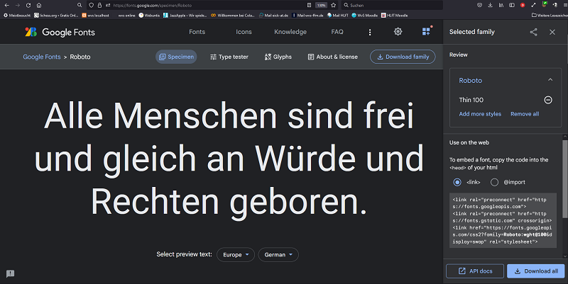 Google Font: Auswahl der Schriftart